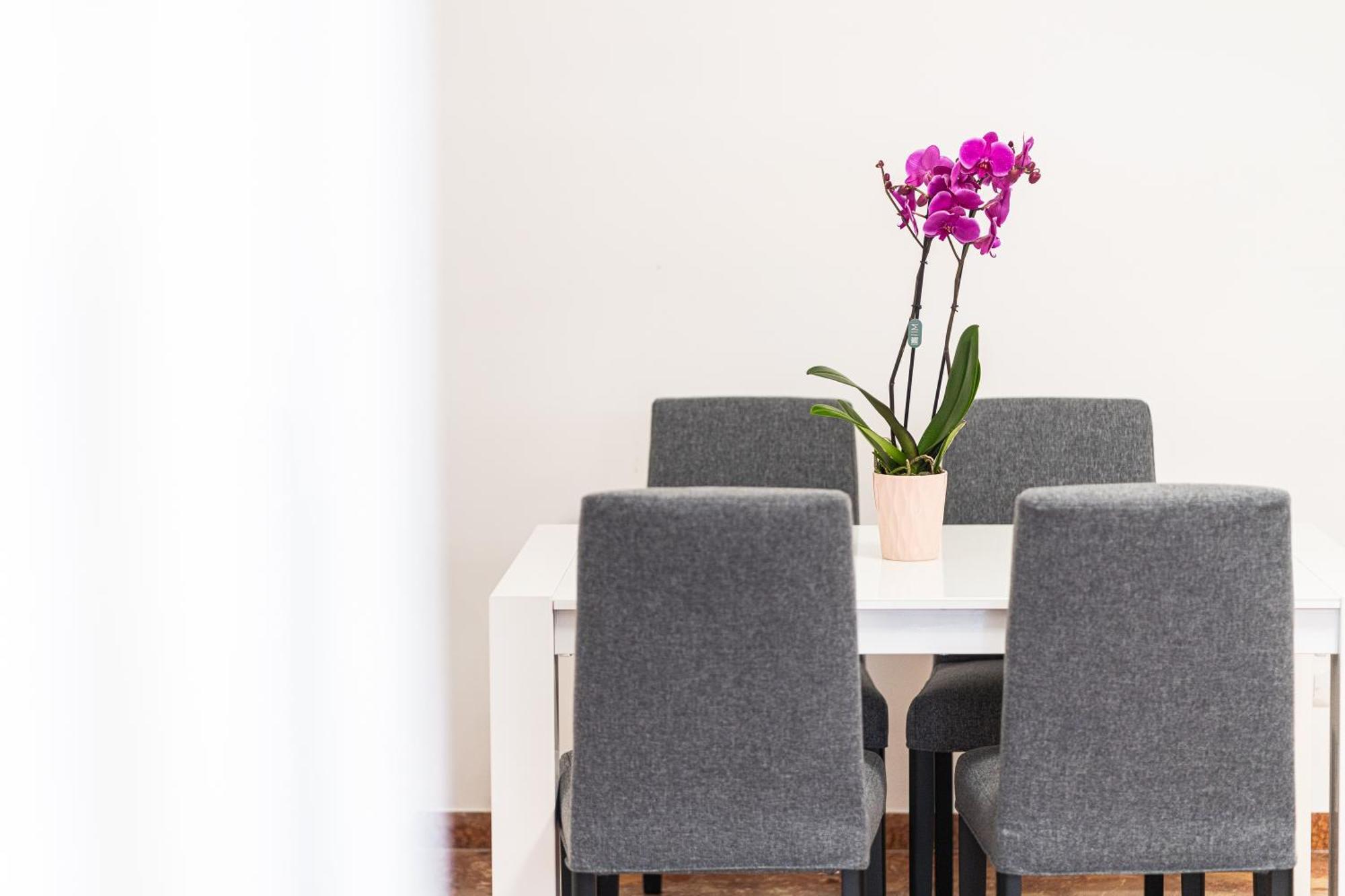 Apartament Domus Leo Roma Zewnętrze zdjęcie